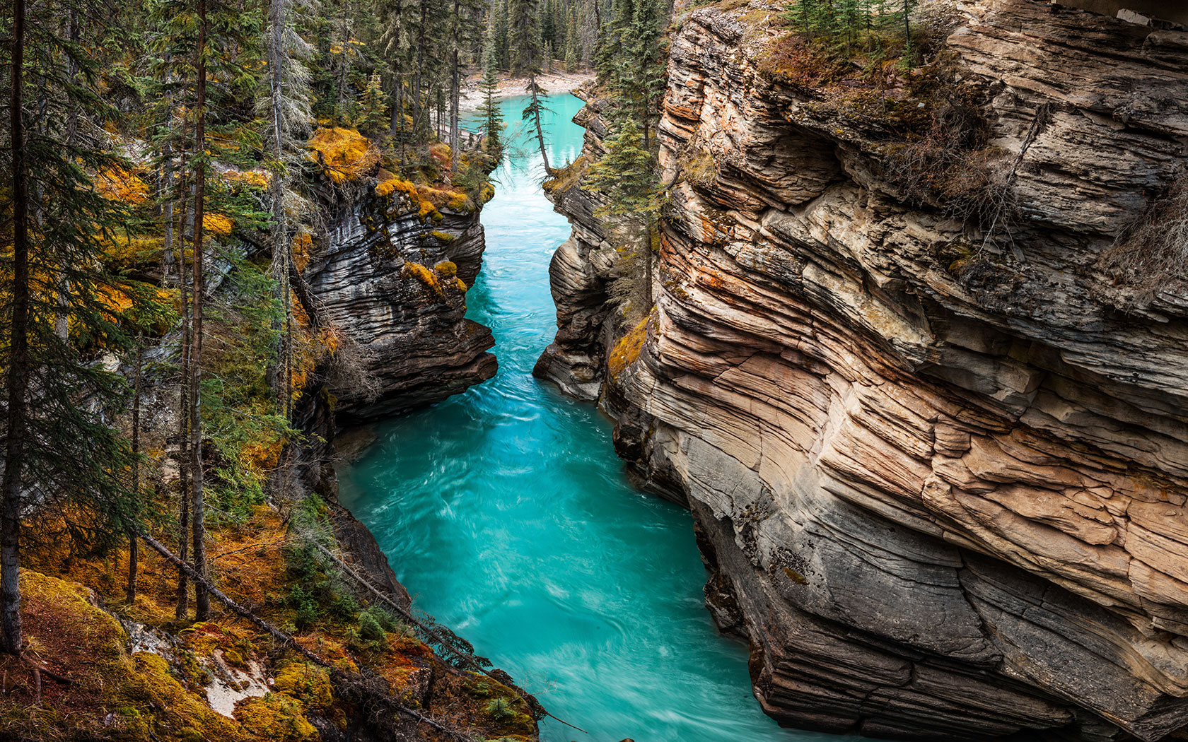 Sentencing Vancouver Criminal Defence Lawyer